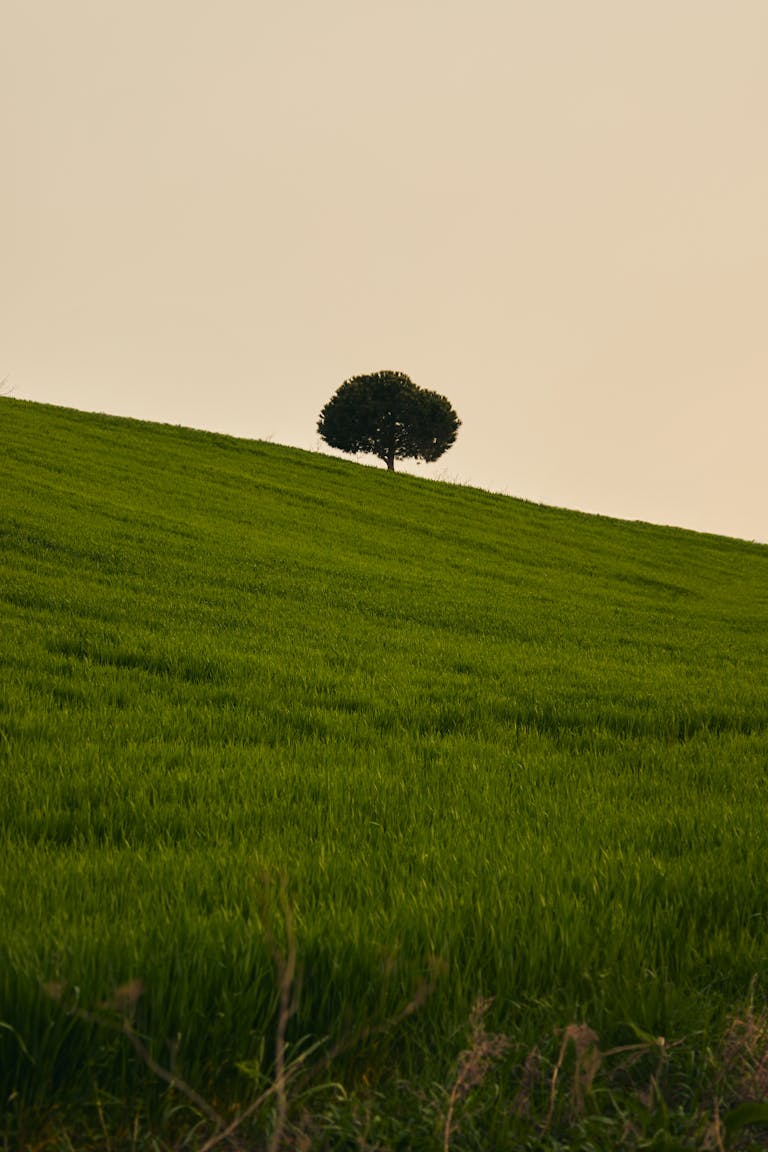 Productos psicológicos espirituales
